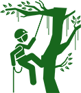 a Simplified Green Graphic of an Arborist Hanging from a Tree Branch, Surrounded by Leaves in Various Locations Served.