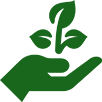 an Image of a Hand Holding a Seedling is Used to Symbolise Sustainable Arborist Services and Planting Trees.