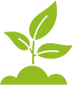 a Simple Green Icon Symbolising Growth, Featuring a Young Plant with Three Leaves Sprouting from a Small Mound of Soil.