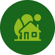 Residential houses with trees showing professional trimming and pruning in Maitland.