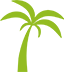 a Simplistic Green Icon of a Palm Tree with a Long, Slender Trunk and Seven Fronds Extending Outward, Displayed on a Clear Background.